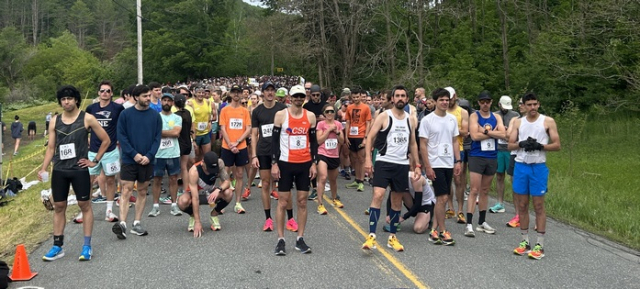 Runners at the start